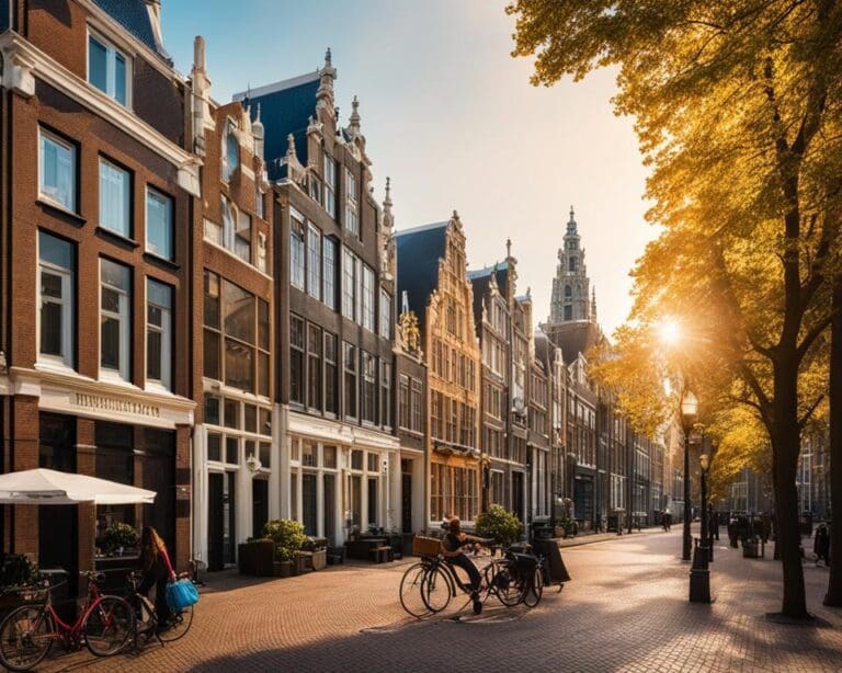 Hoe start je als expat met wonen in Den Haag?