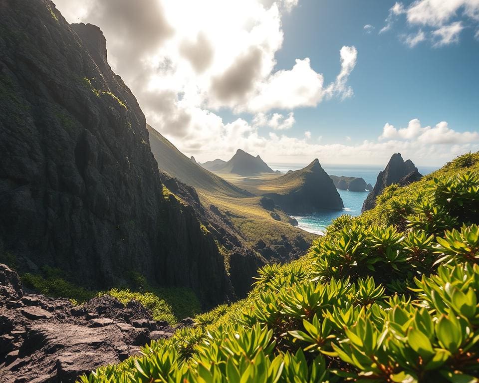 Galapagos Eilanden